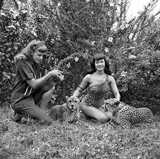 Bunny Yeager & Bettie Page with Cheetahs, 1954 © Bunny Yeager