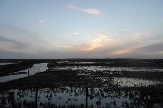 Rye--Castaway-Marshes