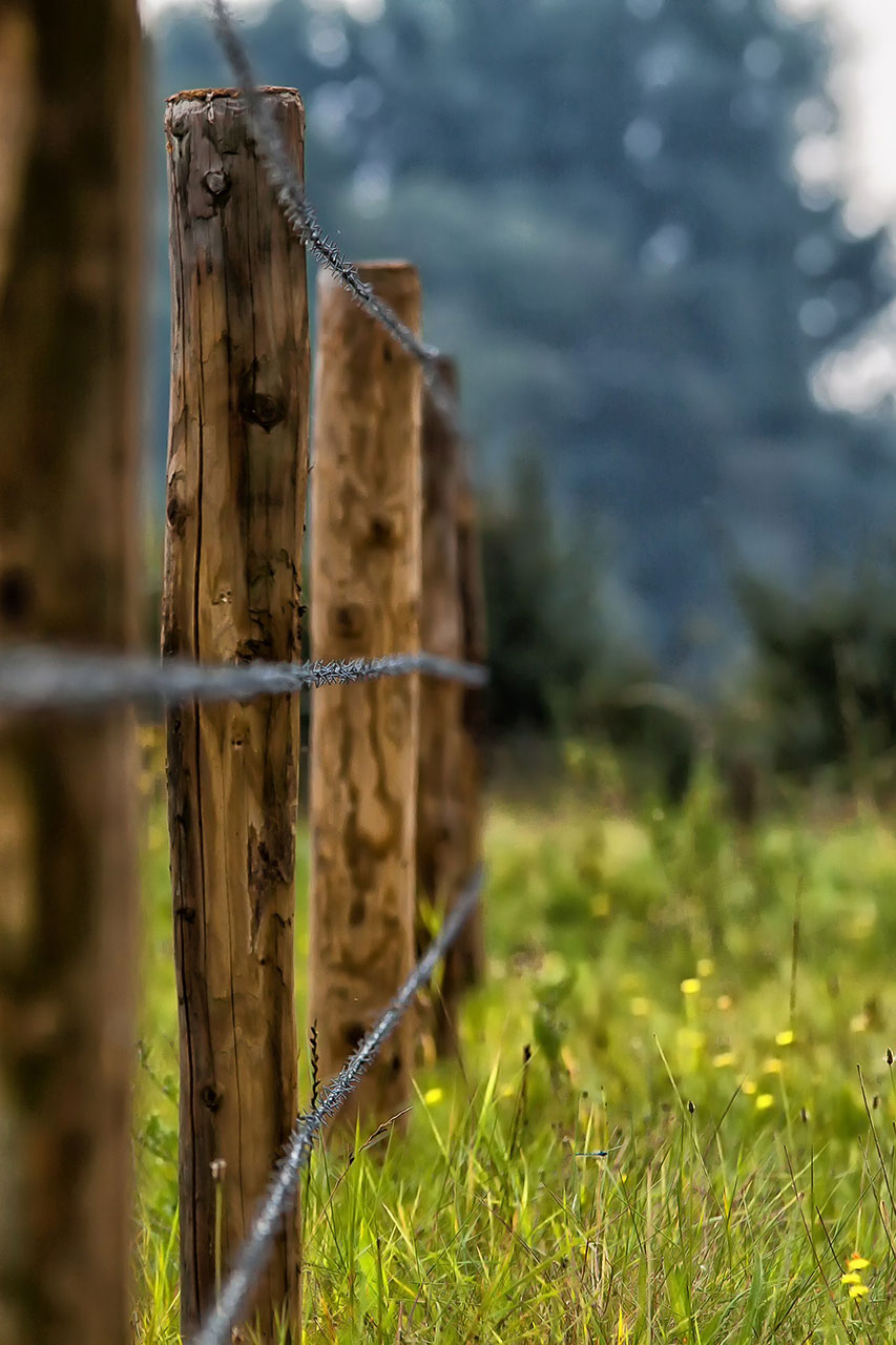 sommefence